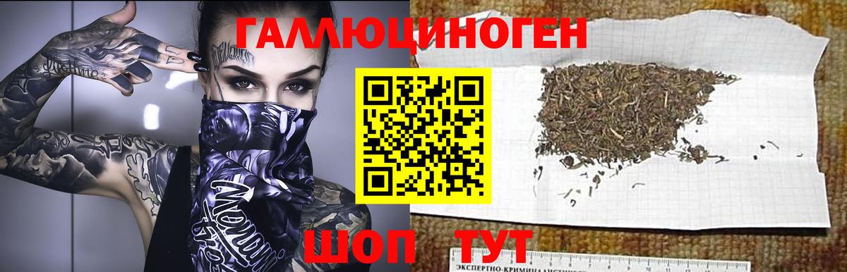 цена наркотик  Вход с VPN  Галлюциногенные грибы Psilocybine cubensis  Семилуки  Псилоцибиновые грибы Psilocybine cubensis 